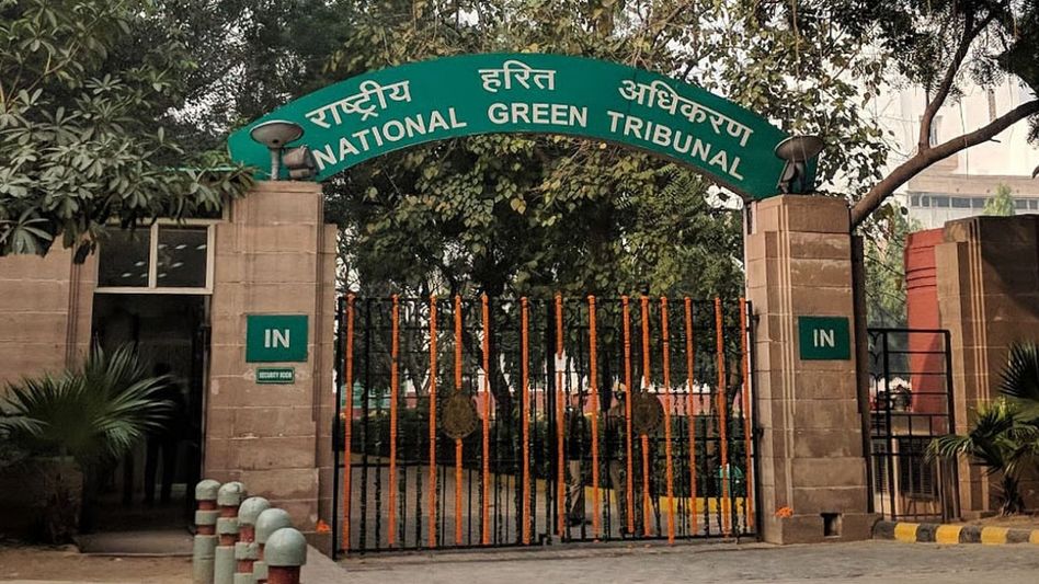 NGT refuses to lift stay on Assam order deploying forest force for polls NGT refuses to lift stay on Assam order deploying forest force for polls
