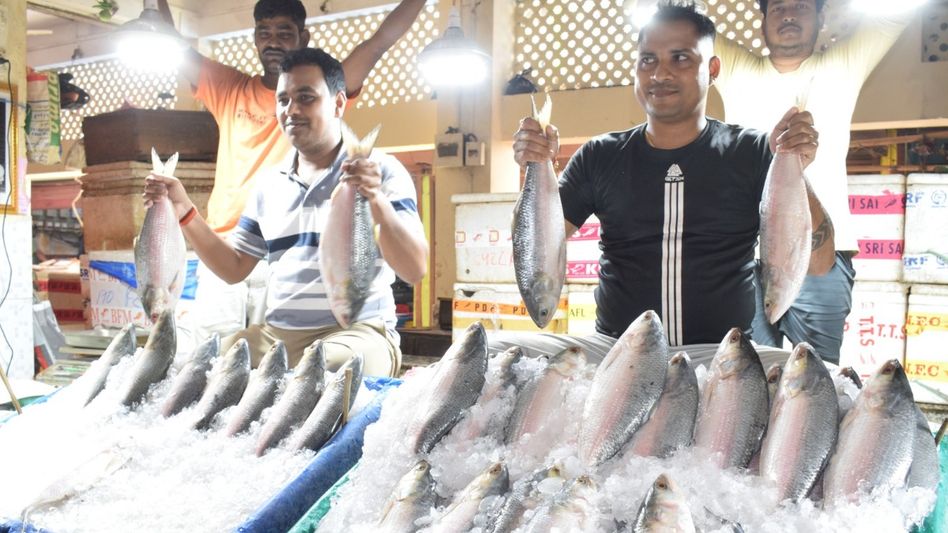 Tripura govt to sell fish at subsidised rates ahead of Bengali New Year Tripura govt to sell fish at subsidised rates ahead of Bengali New Year