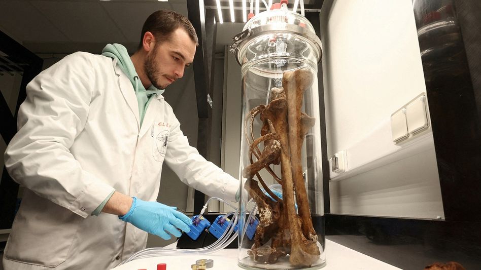 Bread could be quietly slowing your metabolism and adding weight: Study Bread could be quietly slowing your metabolism and adding weight: Study