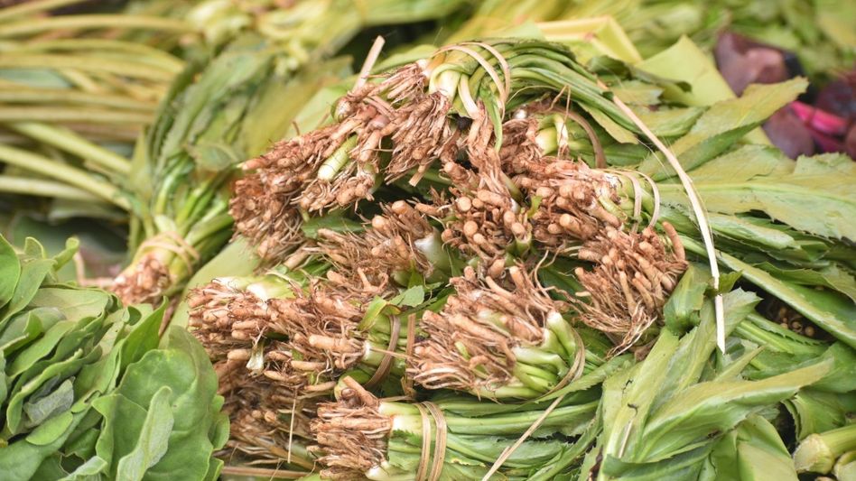 Shillong's farmers' market draws steady crowds, boosts direct farm sales Shillong's farmers' market draws steady crowds, boosts direct farm sales