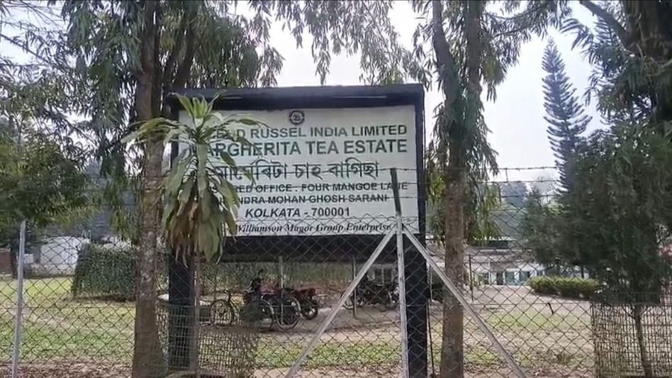 Assam Tea Tribes Students’ Association (ATTSA) demands release of retired staff, jobs for youth in Margherita Assam Tea Tribes Students’ Association (ATTSA) demands release of retired staff, jobs for youth in Margherita