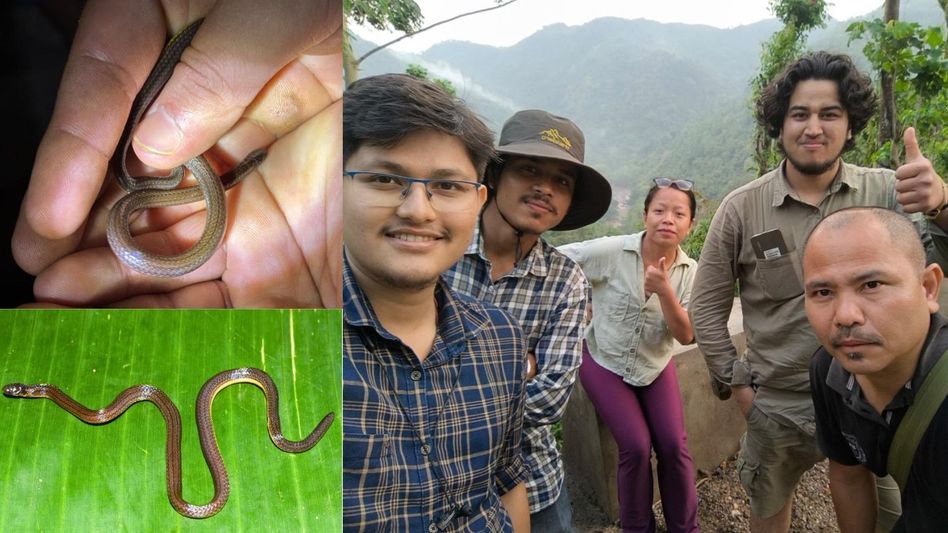 Researchers discover new snake species in Meghalaya’s Garo Hills Researchers discover new snake species in Meghalaya’s Garo Hills