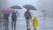 Excess rainfall likely across Assam over next two weeks, says forecast Excess rainfall likely across Assam over next two weeks, says forecast