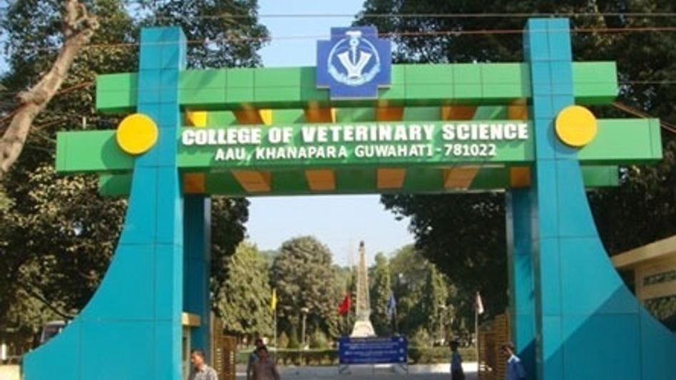 Assam Veterinary and Fishery University adopts NEET-based admission for BVSc & BFSc courses from 2026–27 Assam Veterinary and Fishery University adopts NEET-based admission for BVSc & BFSc courses from 2026–27