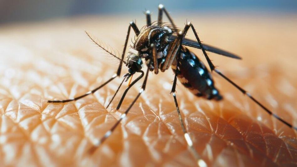 Arunachal edges closer to malaria elimination with 19 districts now free of disease Arunachal edges closer to malaria elimination with 19 districts now free of disease
