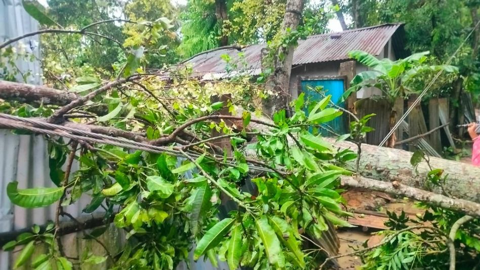 Tripura govt working all-out to tackle storm damage, aid affected people: CM Manik Saha Tripura govt working all-out to tackle storm damage, aid affected people: CM Manik Saha