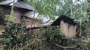 Storm batters Tripura, over 1,500 houses damaged across eight districts Storm batters Tripura, over 1,500 houses damaged across eight districts