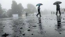 Representative Image Representative Image