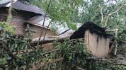 Two killed, four injured as storms lash Tripura; houses, power lines damaged Two killed, four injured as storms lash Tripura; houses, power lines damaged