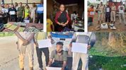 Assam Police intensify anti-drug drive, multiple peddlers held as calls grow to nab kingpins Assam Police intensify anti-drug drive, multiple peddlers held as calls grow to nab kingpins