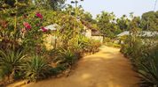 Three Assam panchayats win national awards for rural development and sustainability Three Assam panchayats win national awards for rural development and sustainability