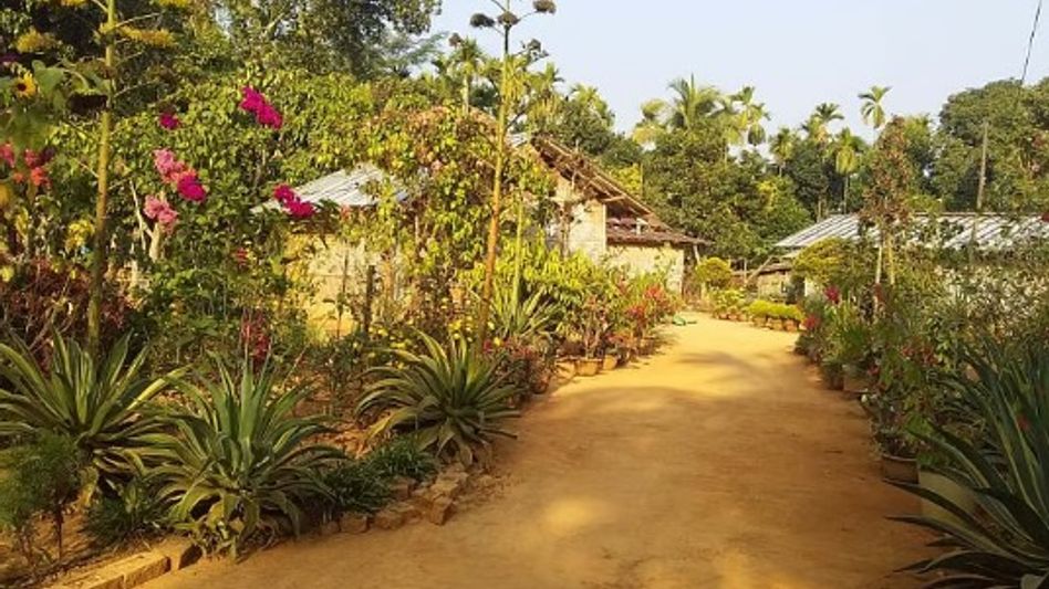 Three Assam panchayats win national awards for rural development and sustainability Three Assam panchayats win national awards for rural development and sustainability