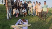 Three suspected rhino poachers held near Kaziranga National Park; firearm parts seized Three suspected rhino poachers held near Kaziranga National Park; firearm parts seized