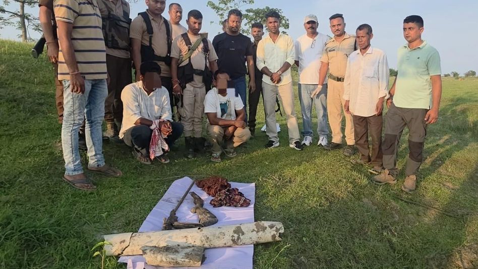 Three suspected rhino poachers held near Kaziranga National Park; firearm parts seized Three suspected rhino poachers held near Kaziranga National Park; firearm parts seized
