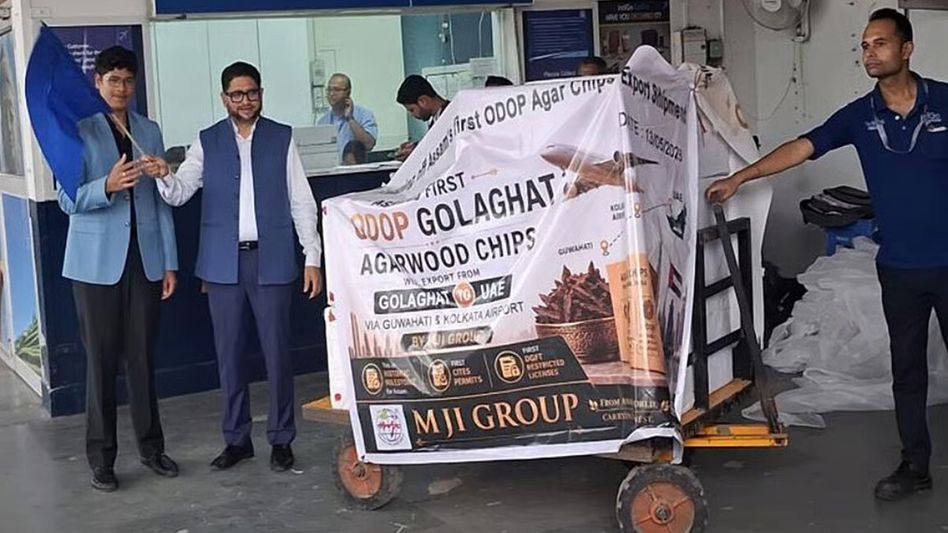 Assam exports first legal agarwood consignment worth Rs 2.35 crore to Saudi Arabia, UAE Assam exports first legal agarwood consignment worth Rs 2.35 crore to Saudi Arabia, UAE