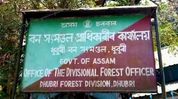 Assam reshuffles 11 Dhubri forest staff after new government takes charge Assam reshuffles 11 Dhubri forest staff after new government takes charge