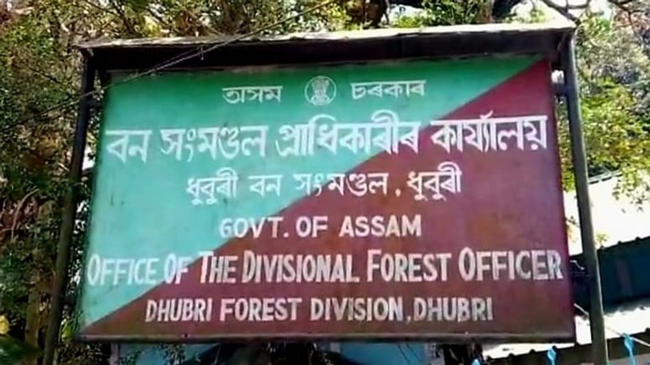 Assam reshuffles 11 Dhubri forest staff after new government takes charge Assam reshuffles 11 Dhubri forest staff after new government takes charge