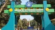 Assam Veterinary and Fishery University announces CET-based admissions for 2026-27 Assam Veterinary and Fishery University announces CET-based admissions for 2026-27