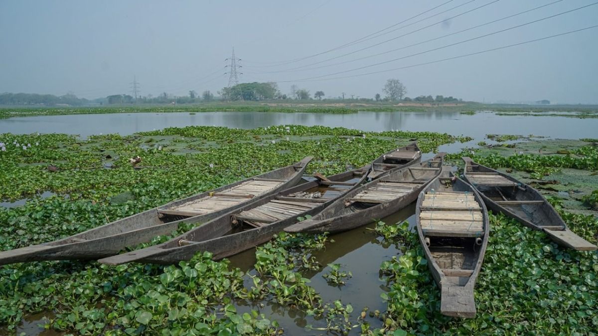 CPCB flags Assam's Pamohi River as polluted, concerns rise over impact on Deepor Beel