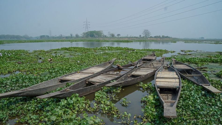 Central Pollution Control Board flags Assam's Pamohi River as polluted, concerns rise over impact on Deepor Beel Central Pollution Control Board flags Assam's Pamohi River as polluted, concerns rise over impact on Deepor Beel