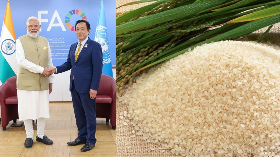 Assam’s Joha rice reaches global spotlight as PM Modi gifts sample to FAO chief Assam’s Joha rice reaches global spotlight as PM Modi gifts sample to FAO chief