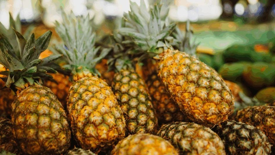 Narendra Modi gifts Meghalaya’s GI-tagged pineapples to UAE President Narendra Modi gifts Meghalaya’s GI-tagged pineapples to UAE President