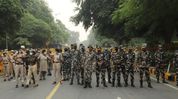 Tripura police crack down on suspected cattle theft network, three detained Tripura police crack down on suspected cattle theft network, three detained