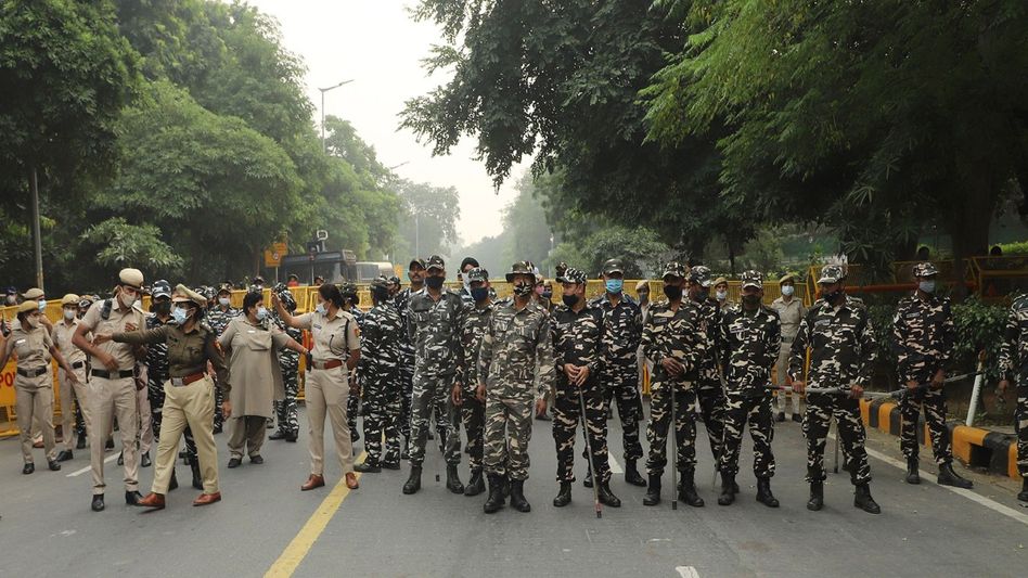 Tripura police crack down on suspected cattle theft network, three detained Tripura police crack down on suspected cattle theft network, three detained