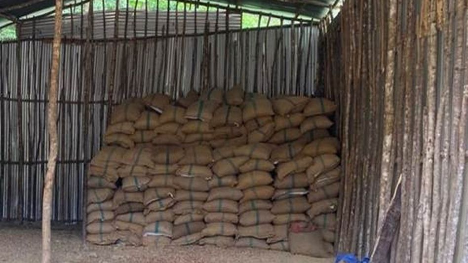 Directorate of Revenue Intelligence seizes 60,000 kg of smuggled areca nuts in northeast operations Directorate of Revenue Intelligence seizes 60,000 kg of smuggled areca nuts in northeast operations