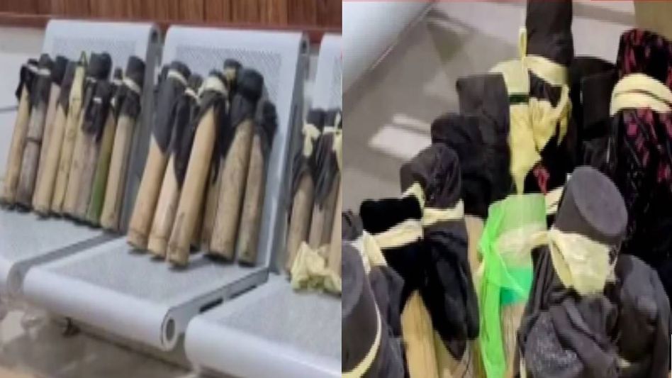 Assam police foil major wildlife smuggling bid, rescue 26 Tokay Geckos in Guwahati Assam police foil major wildlife smuggling bid, rescue 26 Tokay Geckos in Guwahati