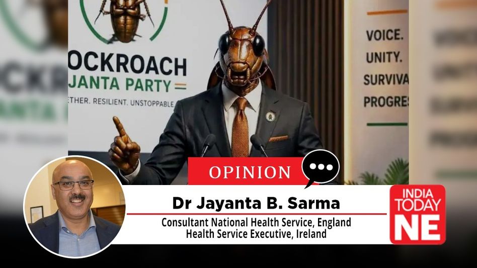 The Cockroach and the Republic of Symbols: When outrage becomes easier than opposition The Cockroach and the Republic of Symbols: When outrage becomes easier than opposition