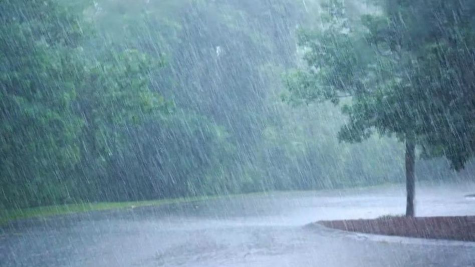 India Meteorological Department issues heavy rainfall alert for Arunachal Pradesh India Meteorological Department issues heavy rainfall alert for Arunachal Pradesh