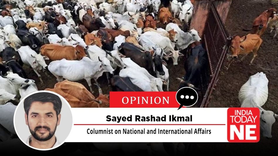In the name of religion, cow politics and Muslim question In the name of religion, cow politics and Muslim question