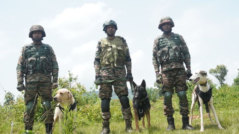 Indian Army’s K9 warriors showcase skills at Exercise PRAGATI 2026 in Meghalaya Indian Army’s K9 warriors showcase skills at Exercise PRAGATI 2026 in Meghalaya
