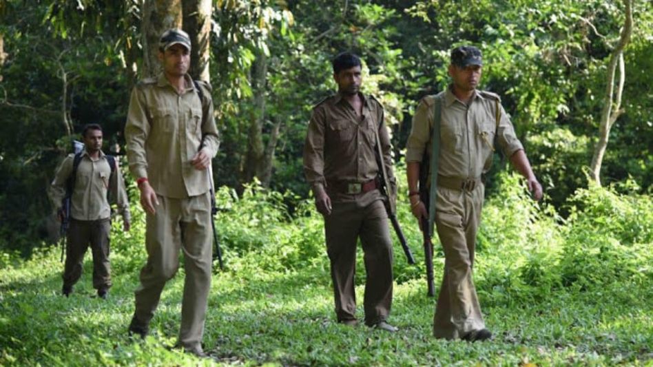 Meghalaya cabinet approves amendment to Forest Authority Act to strengthen forest governance Meghalaya cabinet approves amendment to Forest Authority Act to strengthen forest governance