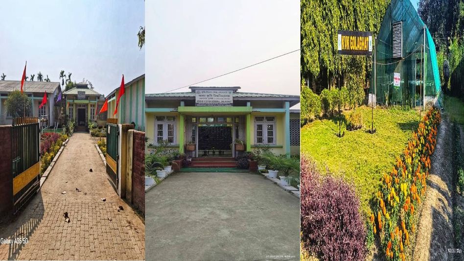 AAU-KVK Golaghat selected for prestigious NAAS–Dhanuka Award for excellence in agricultural extension AAU-KVK Golaghat selected for prestigious NAAS–Dhanuka Award for excellence in agricultural extension