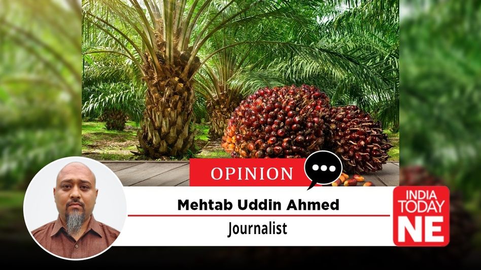 The Great Edible Oil Dilemma: Why Swapping Assam’s Native Mustard for Devastating Palm Oil is a Step Backward The Great Edible Oil Dilemma: Why Swapping Assam’s Native Mustard for Devastating Palm Oil is a Step Backward
