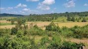 Assam, Meghalaya agree to continue farming in Lapangap, defer border demarcation Assam, Meghalaya agree to continue farming in Lapangap, defer border demarcation