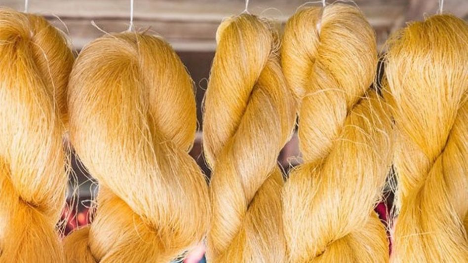 Centre launches Rs 411-crore Mission Senehjori to transform Assam's Muga silk sector Centre launches Rs 411-crore Mission Senehjori to transform Assam's Muga silk sector