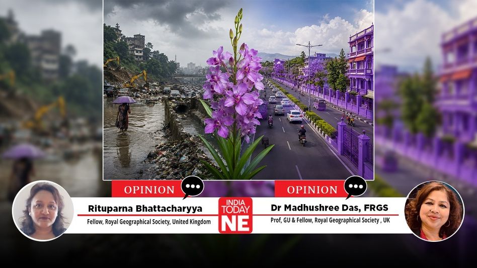 The purple city as an outcome: Liveability is the first architecture The purple city as an outcome: Liveability is the first architecture