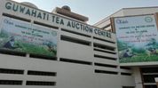 Guwahati Tea Auction Centre records premium prices as quality teas fetch over Rs 1,100 per kg Guwahati Tea Auction Centre records premium prices as quality teas fetch over Rs 1,100 per kg