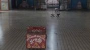Thieves break into Namghar in Guwahati's Paltan Bazar, steal cash after breaching wall Thieves break into Namghar in Guwahati's Paltan Bazar, steal cash after breaching wall