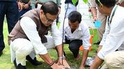 Assam plants over 1.2 crore saplings in 8 hours; CM Himanta Biswa Sarma hails women's contribution Assam plants over 1.2 crore saplings in 8 hours; CM Himanta Biswa Sarma hails women's contribution