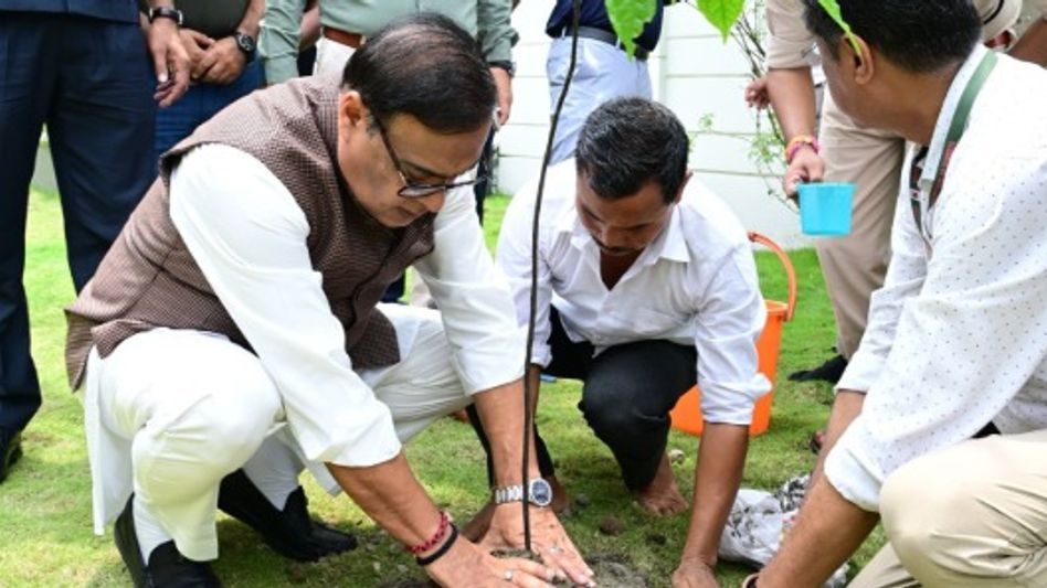 Assam plants over 1.2 crore saplings in 8 hours; CM Himanta Biswa Sarma hails women's contribution Assam plants over 1.2 crore saplings in 8 hours; CM Himanta Biswa Sarma hails women's contribution