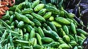 Meghalaya food safety officials seize pointed gourd consignment over suspected artificial colouring Meghalaya food safety officials seize pointed gourd consignment over suspected artificial colouring