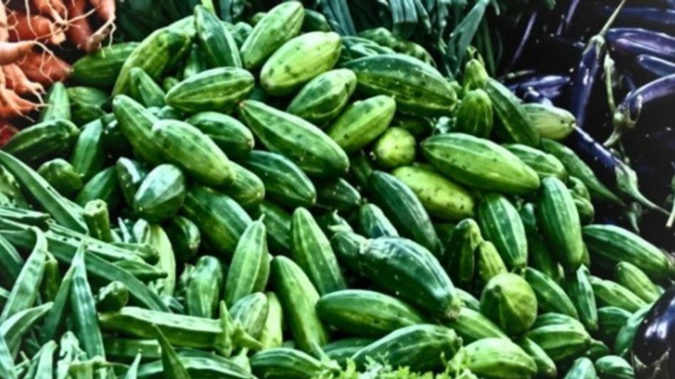 Meghalaya food safety officials seize pointed gourd consignment over suspected artificial colouring Meghalaya food safety officials seize pointed gourd consignment over suspected artificial colouring