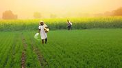 Agri Stack portal to ensure timely fertiliser supply and MSP payments for Assam farmers, says Himanta Agri Stack portal to ensure timely fertiliser supply and MSP payments for Assam farmers, says Himanta