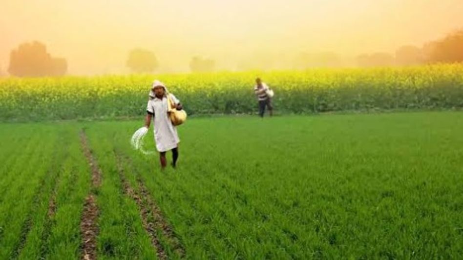 Agri Stack portal to ensure timely fertiliser supply and MSP payments for Assam farmers, says Himanta Agri Stack portal to ensure timely fertiliser supply and MSP payments for Assam farmers, says Himanta