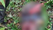 Man killed in suspected militant firing in Manipur's Kangpokpi district, investigation underway Man killed in suspected militant firing in Manipur's Kangpokpi district, investigation underway