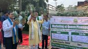 Tripura exports organic products worth Rs 17 crore as global demand rises: Minister Tripura exports organic products worth Rs 17 crore as global demand rises: Minister